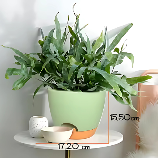 Self-Watering Plastic Flower Pots with Drainage & Saucers