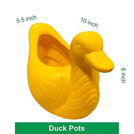 Quack Pots